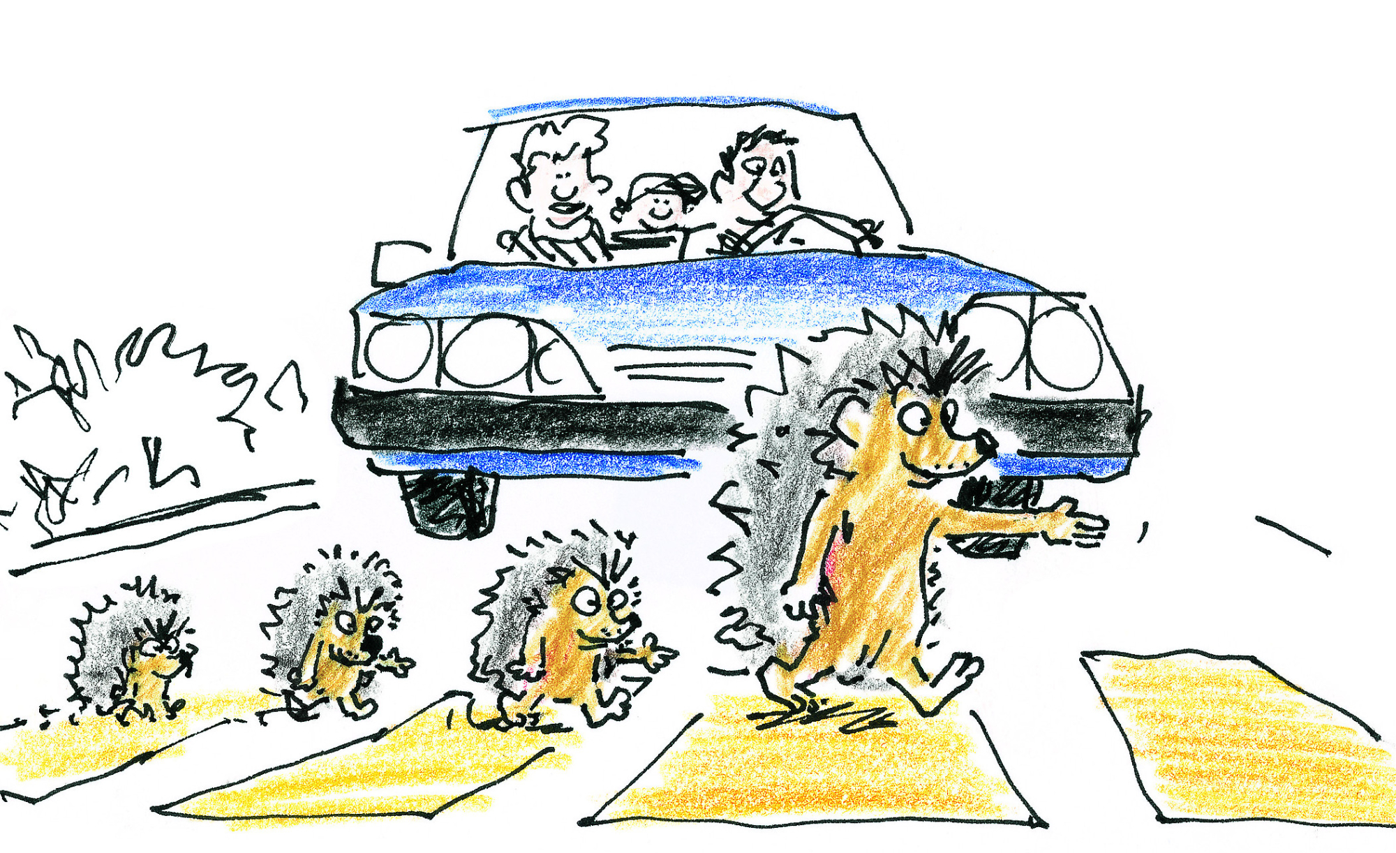 Bild zum Event: Das Stacheltier im Quartier